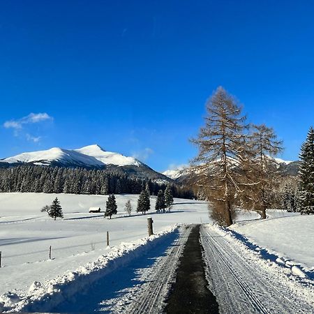 Вилла Chalet Am Teich Familie Gaenser Feistritz am Kammersberg Экстерьер фото
