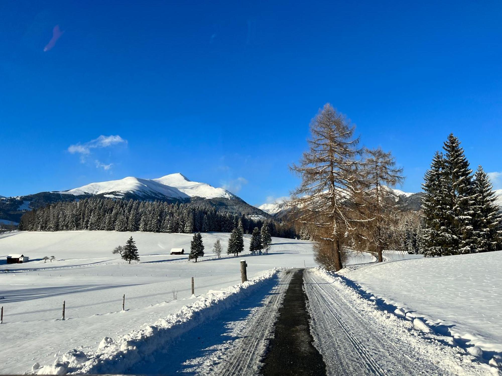 Вилла Chalet Am Teich Familie Gaenser Feistritz am Kammersberg Экстерьер фото