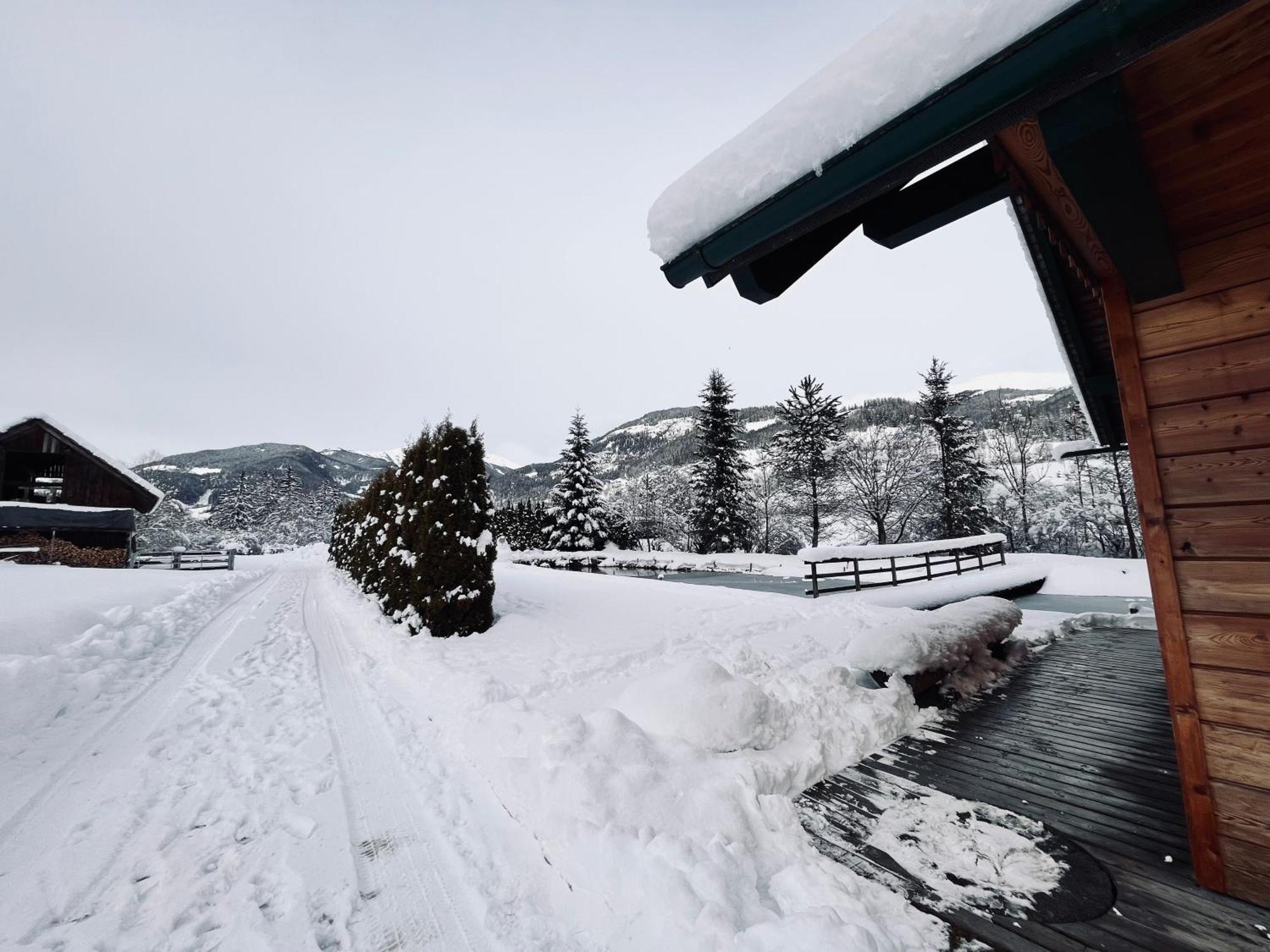 Вилла Chalet Am Teich Familie Gaenser Feistritz am Kammersberg Экстерьер фото